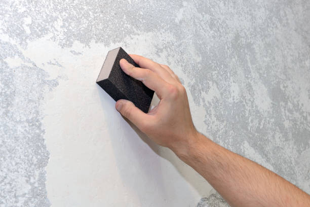 Best Commercial Mold Inspection  in North Caldwell, NJ