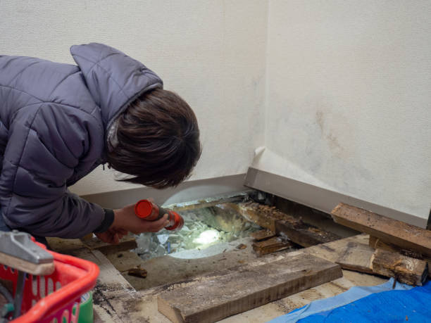 Asbestos and Lead Testing During Mold Inspection in North Caldwell, NJ