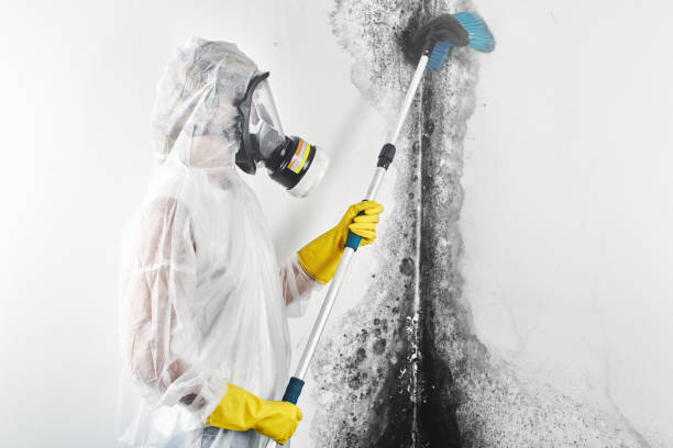 Best Crawl Space Mold Remediation  in North Caldwell, NJ