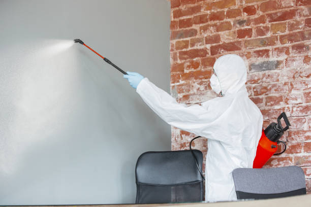 Best Mold Prevention Services  in North Caldwell, NJ