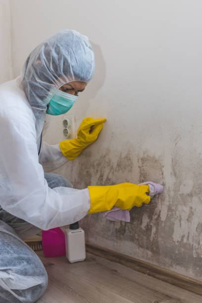 Best Biohazard Mold Removal  in North Caldwell, NJ