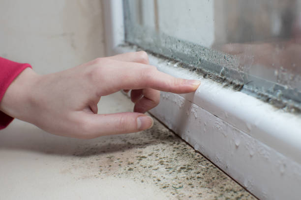 Best Residential Mold Inspection & Testing  in North Caldwell, NJ