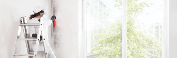 Best Mold Damage Restoration  in North Caldwell, NJ