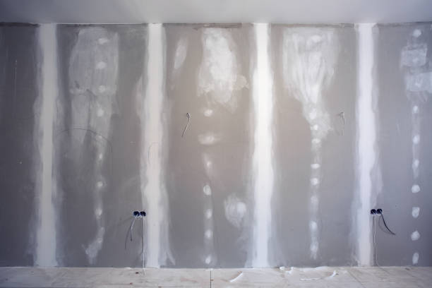 Best Asbestos and Lead Testing During Mold Inspection  in North Caldwell, NJ